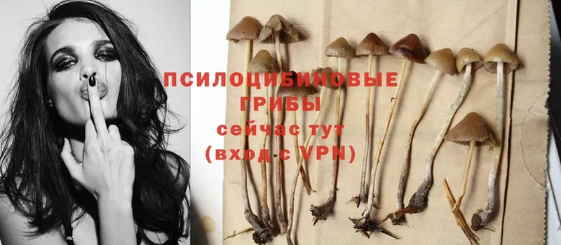 Галлюциногенные грибы MAGIC MUSHROOMS  omg ССЫЛКА  Серафимович 